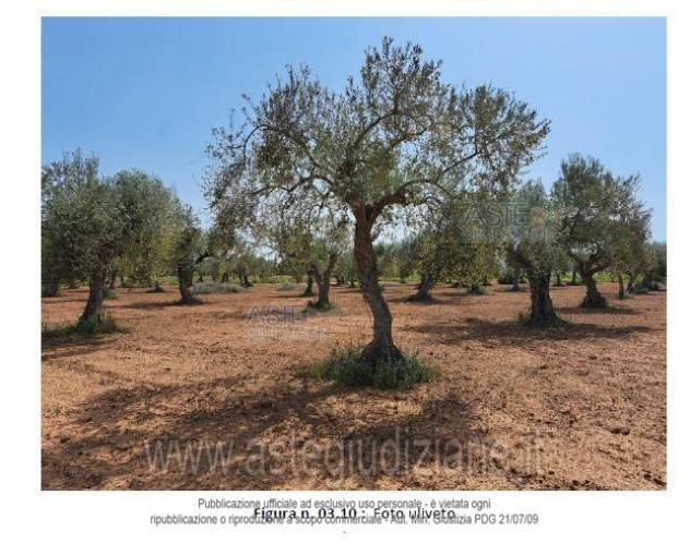 terreno agricolo in vendita a Vittoria