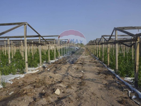 terreno agricolo in vendita a Vittoria