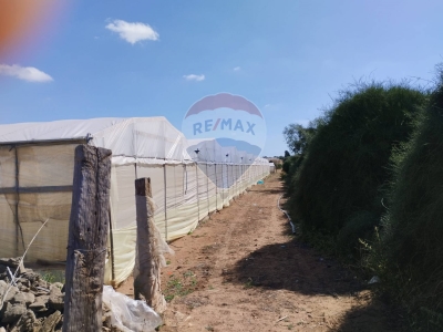 casa indipendente in vendita a Vittoria in zona Scoglitti