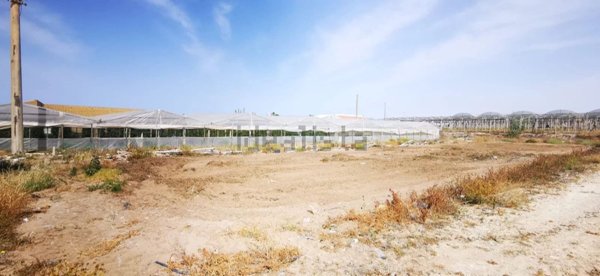 terreno agricolo in vendita a Vittoria in zona Scoglitti