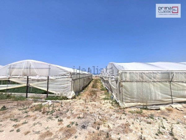 azienda agricola in vendita a Vittoria