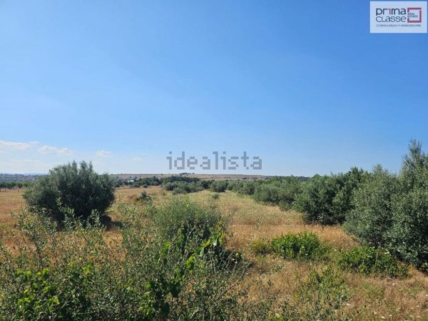 terreno agricolo in vendita a Vittoria