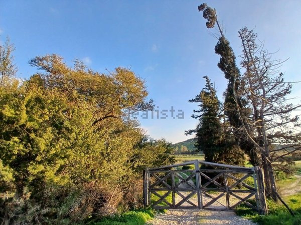 esavano in vendita a Vittoria