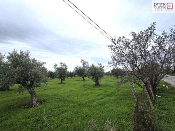 negozio in vendita a Vittoria