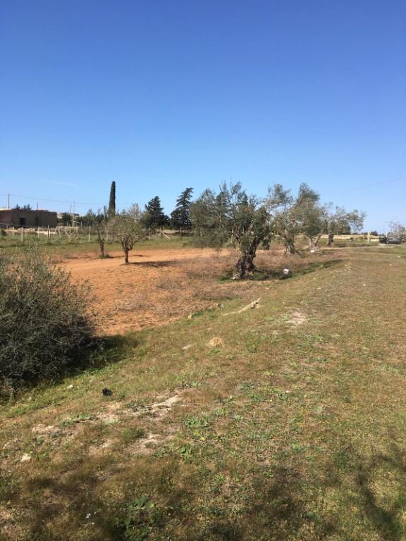 casa indipendente in vendita a Vittoria