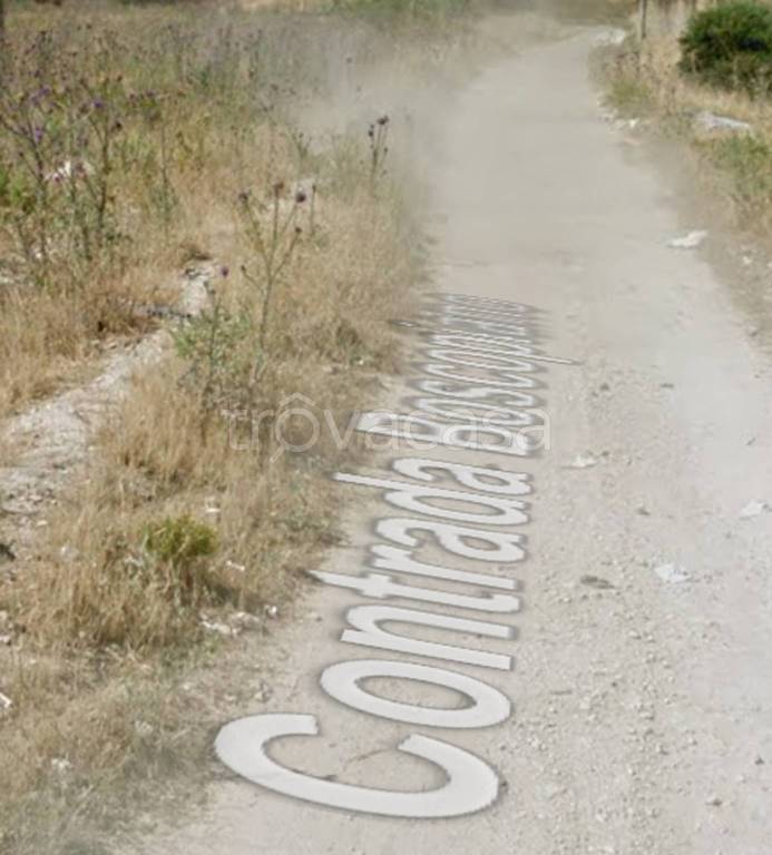 terreno agricolo in vendita a Vittoria