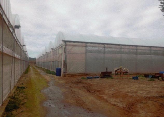 terreno edificabile in vendita a Vittoria