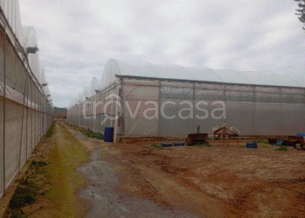 terreno agricolo in vendita a Vittoria