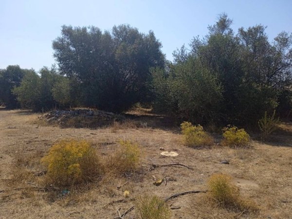 terreno agricolo in vendita a Vittoria