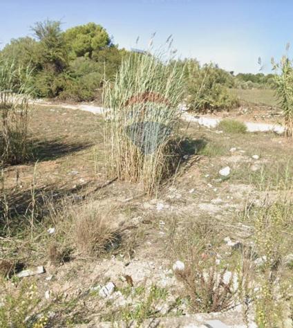 terreno agricolo in vendita a Vittoria