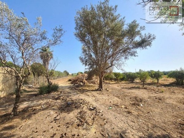terreno agricolo in vendita a Vittoria in zona Scoglitti