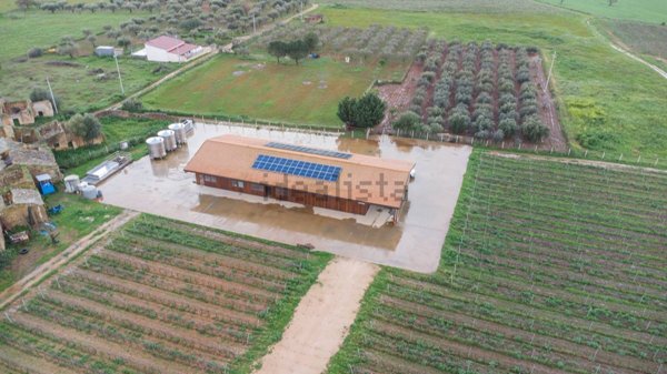 azienda agricola in vendita a Vittoria