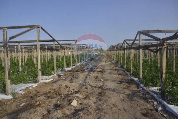 azienda agricola in vendita a Vittoria