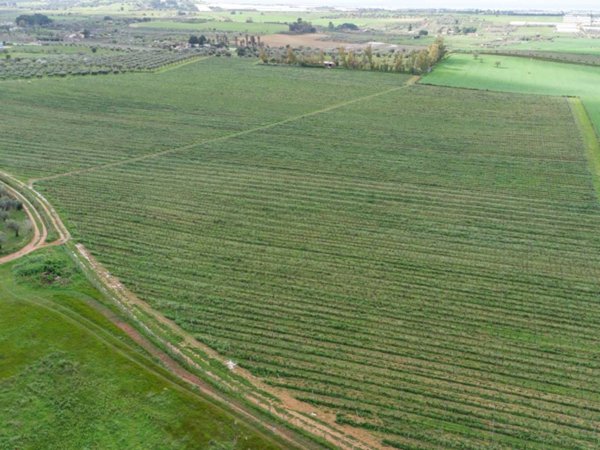terreno agricolo in vendita a Vittoria