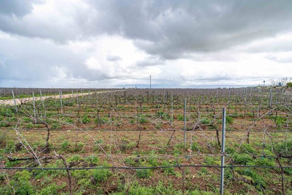 terreno in vendita a Vittoria in zona Scoglitti
