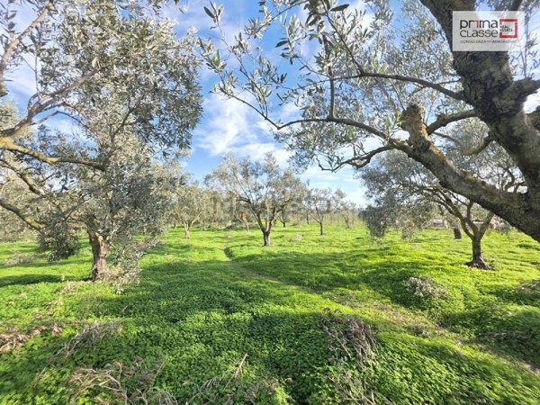 terreno agricolo in vendita a Vittoria