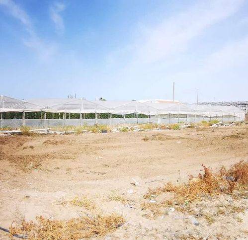 terreno edificabile in vendita a Vittoria in zona Scoglitti