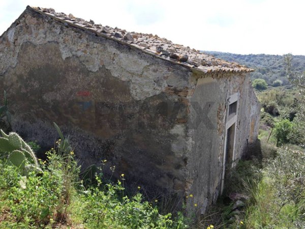immagine annuncio 0 di 5