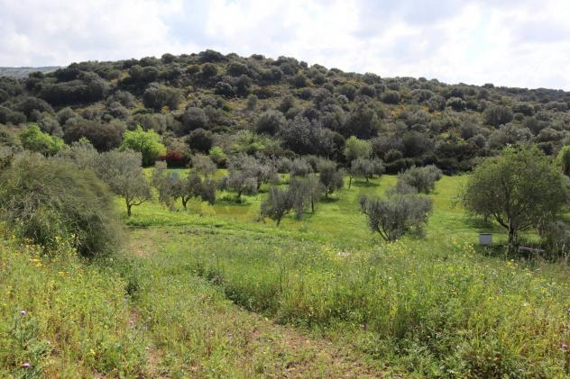 casa indipendente in vendita a Vittoria
