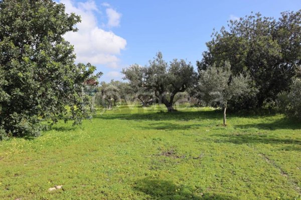 casa indipendente in vendita a Vittoria