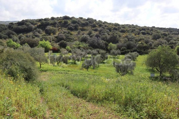 casa indipendente in vendita a Vittoria