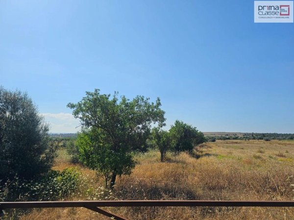 terreno agricolo in vendita a Vittoria