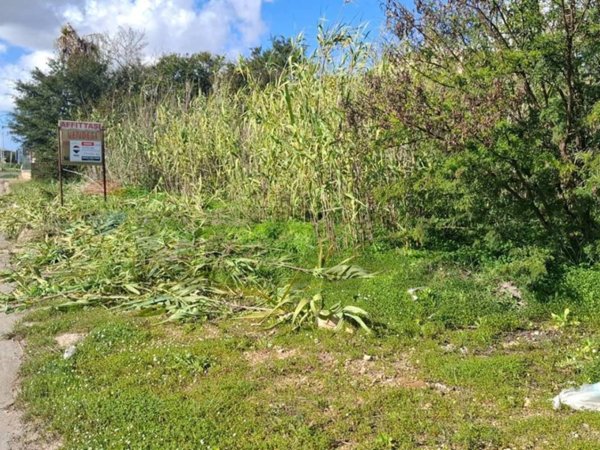 terreno agricolo in vendita a Vittoria in zona Scoglitti