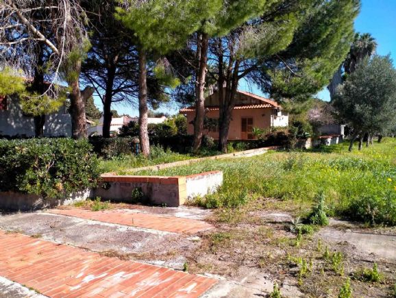 immagine annuncio 0 di 1