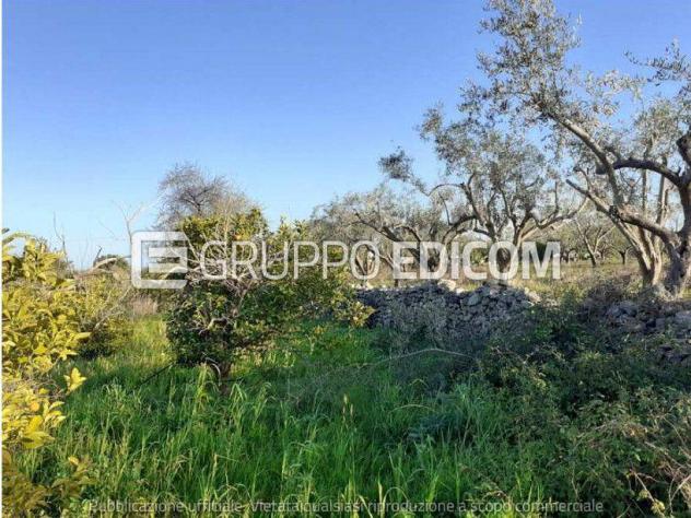terreno agricolo in vendita ad Augusta