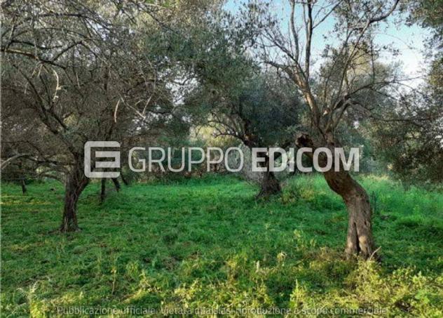 terreno agricolo in vendita ad Augusta