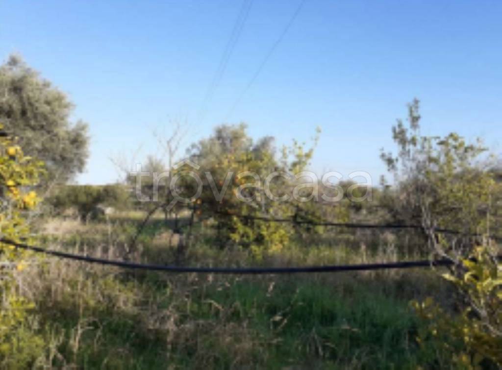 terreno agricolo in vendita ad Augusta
