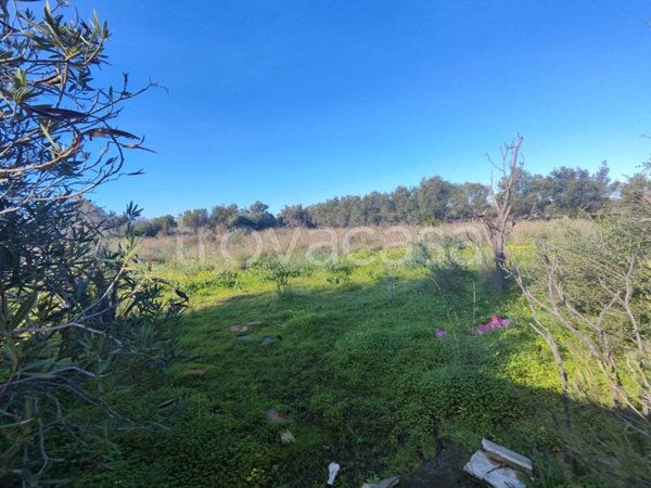 terreno agricolo in vendita ad Augusta