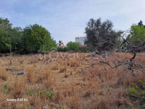 terreno agricolo in vendita ad Augusta