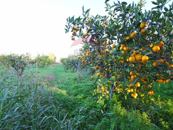 terreno agricolo in vendita ad Augusta