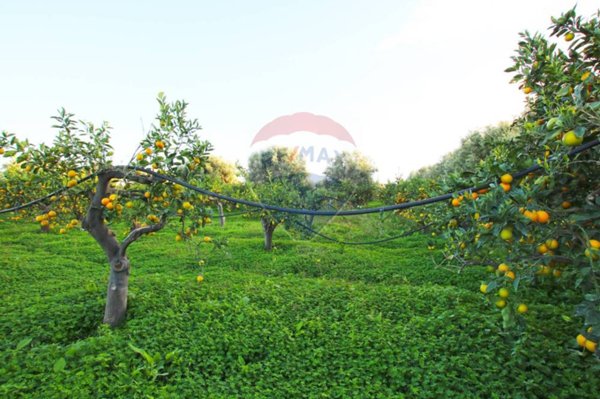 terreno agricolo in vendita ad Augusta