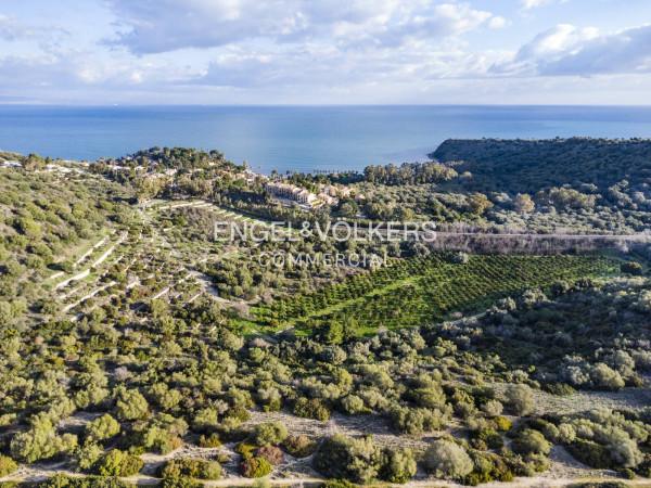 terreno agricolo in vendita ad Augusta