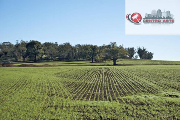 terreno agricolo in vendita ad Augusta