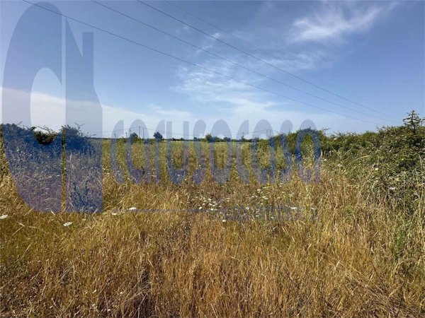 casa indipendente in vendita ad Augusta