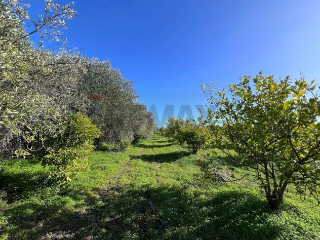 casa indipendente in vendita ad Augusta