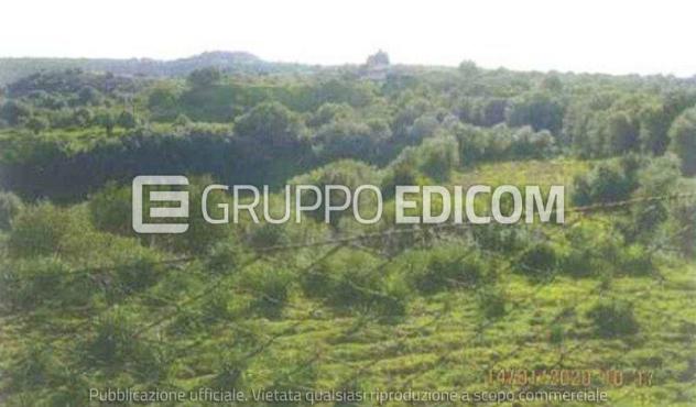 terreno agricolo in vendita ad Augusta