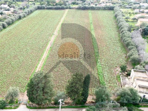 quadrivano in vendita ad Augusta