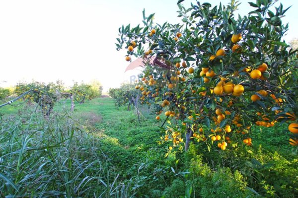 terreno agricolo in vendita ad Augusta