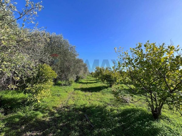 terreno agricolo in vendita ad Augusta