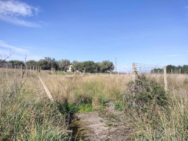 terreno agricolo in vendita ad Augusta