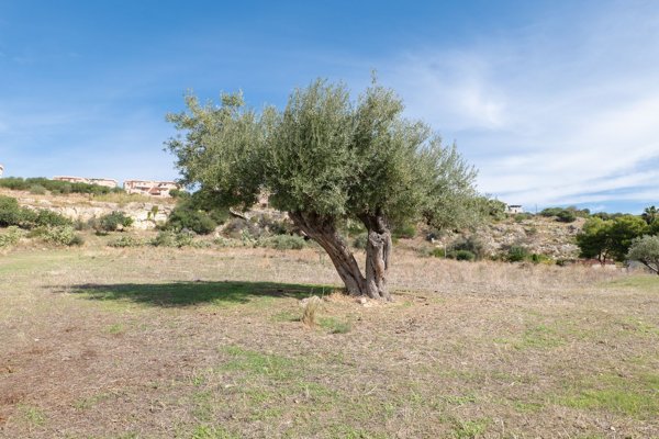 terreno in vendita ad Augusta