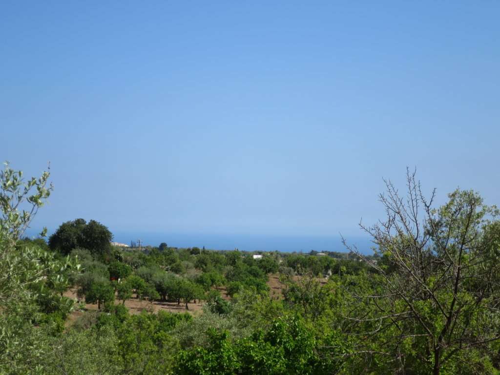 terreno agricolo in vendita ad Avola