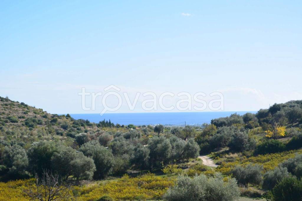 terreno agricolo in vendita ad Avola
