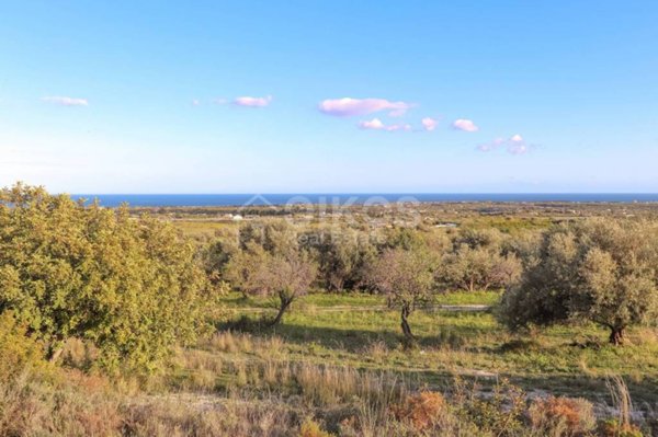 terreno agricolo in vendita ad Avola