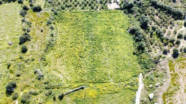 terreno agricolo in vendita ad Avola