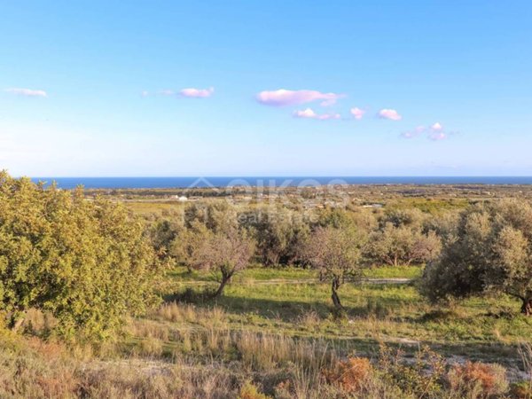 terreno agricolo in vendita ad Avola